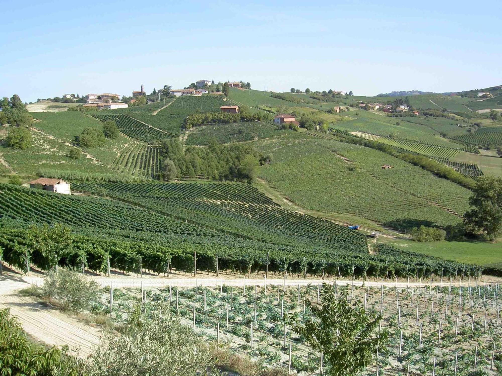 Agriturismo Vecchio Torchio Villa Canelli Bagian luar foto