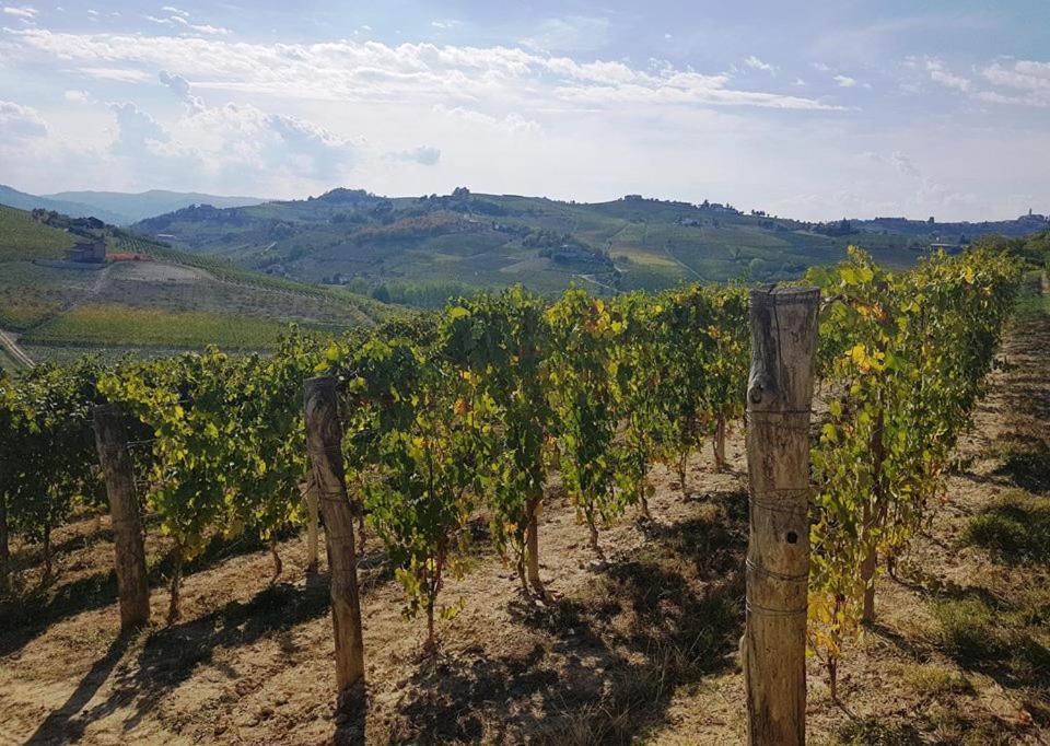 Agriturismo Vecchio Torchio Villa Canelli Bagian luar foto